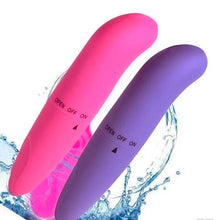 Carregar imagem no visualizador da galeria, VIBRADOR PONTO G TIPO GOLFINHO 13CM IMPORT
