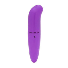 Carregar imagem no visualizador da galeria, VIBRADOR PONTO G TIPO GOLFINHO 13CM IMPORT